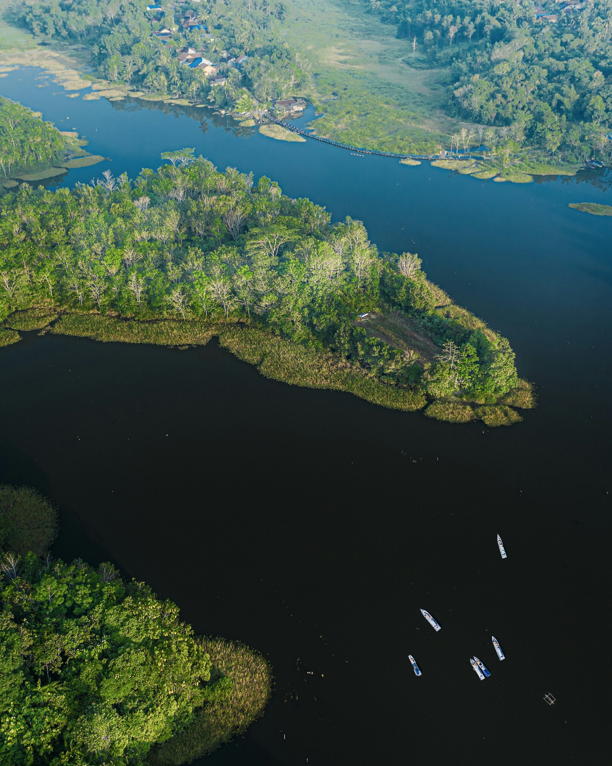 Towards Sustainable Indonesia